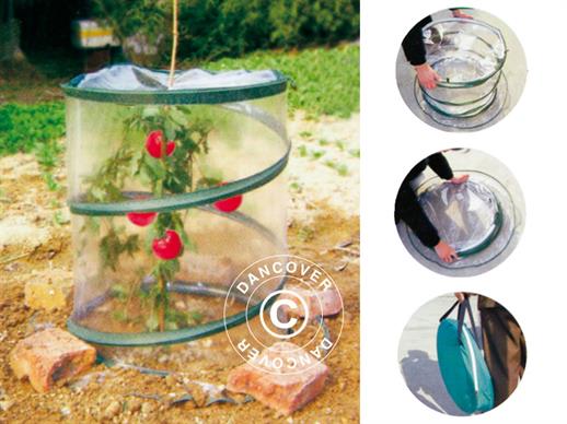 Mini greenhouse, cylinder