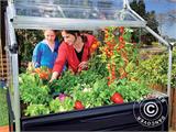 Mini Greenhouse PLANT INN, Palram/Canopia, 1.18x1.18x1.48 m, Clear
