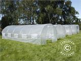 Polytunnel Greenhouse 2x4.5x2 m, Transparent 