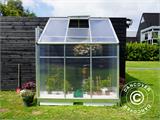 Lean-to Greenhouse Polycarbonate, 2.4 m², 1.25x1.92x2.21 m, Aluminium