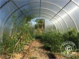 Greenhouse polycarbonate, Strong NOVA 48 m², 6x8 m, Silver