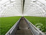 Commercial greenhouse tunnel, 8.5x15x3.3 m, Transparent