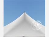 Pole tent 6x6m PVC, Valkoinen 