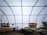 Tunnel agricole 9,15x20x4,5m, PVC, Blanc