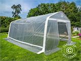 Polytunnel greenhouse, 3.6x6x2.68 m, PE, 21.6 m², Transparent
