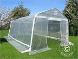 Polytunnel greenhouse, 3.6x8.4x2.68 m, PE, 30.24 m², Transparent