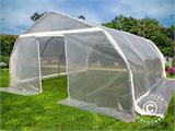 Polytunnel greenhouse, 5.4x6x2.9 m, PE, 32.4 m², Transparent