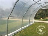 Polytunnel greenhouse, 5.4x6x2.9 m, PE, 32.4 m², Transparent