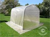 Polytunnel greenhouse, 2.4x2.4x2 m, PE, 5.7 m², Transparent