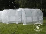 Polytunnel Greenhouse 2x3x2 m, Transparent 