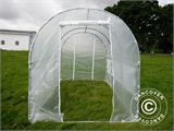 Polytunnel Greenhouse 2x3x2 m, Transparent 