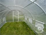 Polytunnel Greenhouse 3x6x2 m, Transparent