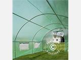 Polytunnel Drivhus 3x8x2m, 24m², Grønn