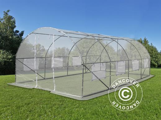 Polytunnel Greenhouse 3x8x2 m, Transparent