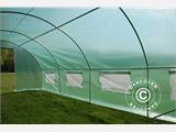 Polytunnel Greenhouse 4x8x2 m, 32 m², Green