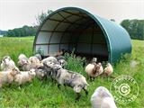 Abri pour bétail/Tente de stockage voûtée, 5x6x3,23m, Vert foncé
