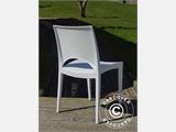 Chair, Paris, White, 1 pcs. ONLY 8 PCS. LEFT